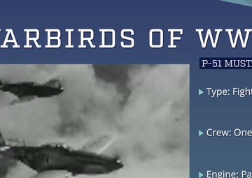 Warbirds of World War II - P-51 Mustang