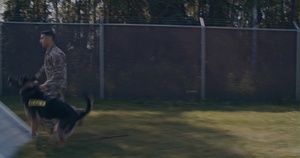 JBER's Military Working Dogs