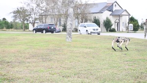 Computerized canines to join Team Tyndall