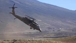 Exercise Bougainville II 2/3
