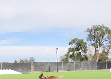 Sec Fo FB Page Commercial (B-Roll)