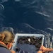 Coast Guard releases more than 200 sea turtles off Florida coast