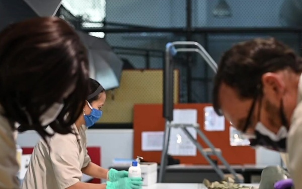 Joint Personal Effects Depot (JPED) Processing