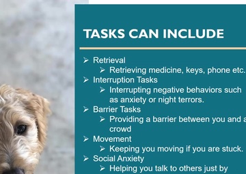 Virtual CARE Week Care Fair