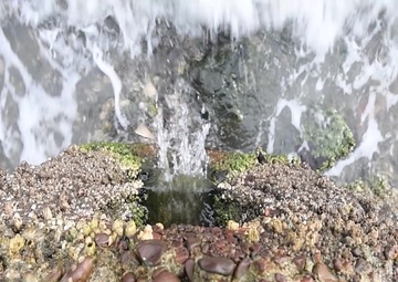 The Navy's Part in Maintaining Stormwater