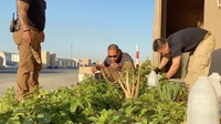 Desert Gardeners