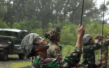 Indonesia Platoon Exchange: Ropes and Knots