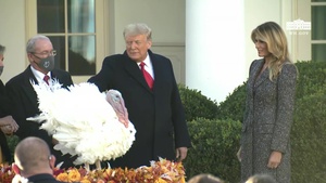President Trump and The First Lady Present the National Thanksgiving Turkey