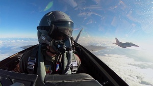 UFC Fighter vs. Air Force Fighter Jet