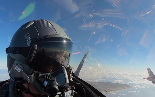 UFC Fighter vs. Air Force Fighter Jet