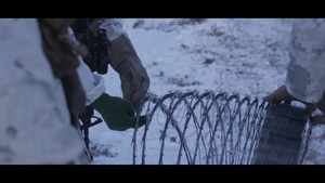 Reindeer II