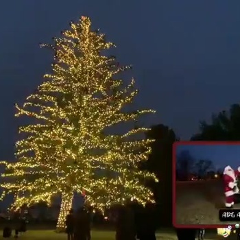 Virtual APG Annual Holiday Tree Lighting