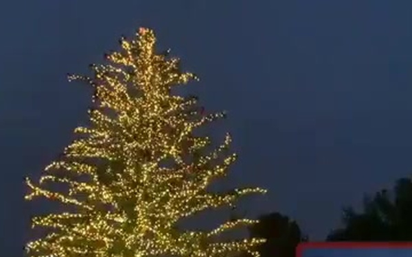 Virtual APG Annual Holiday Tree Lighting