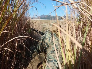 Marines with 3/8 get ready for Forest Light with Squad Attack Drills (B-Roll)