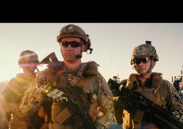 The Maritime Expeditionary Security Force