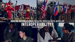 Celebrating 20 years of IHS: How do International Health Specialists develop interoperability?
