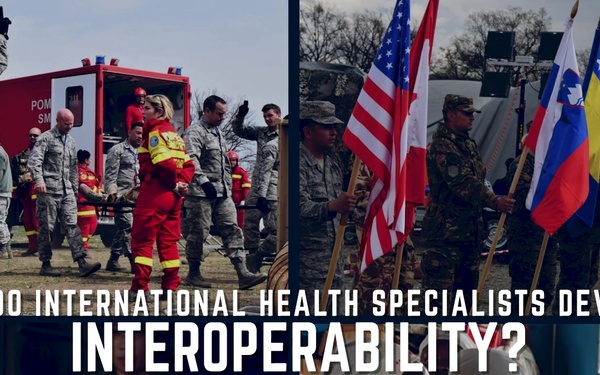 Celebrating 20 years of IHS: How do International Health Specialists develop interoperability?