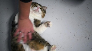 PAWs Spotlight
