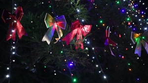 Tree Lighting