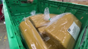 Second Harvest B-roll Package