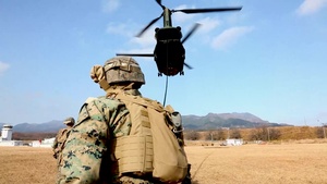 Forest Light: JGSDF’s 30th Infantry Regiment, 3/8 conducts fast roping B-Roll