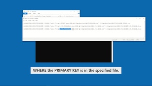 IMD2 DECOMP Use an Input File to Extract with Decomp (captioned)