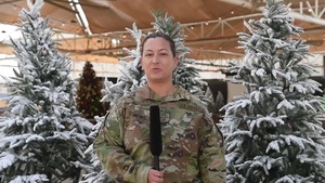 SSgt Stayonovich / Holiday