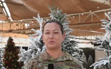 SSgt Stayonovich / Holiday