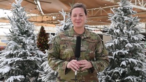 TSgt Lovett / Holiday