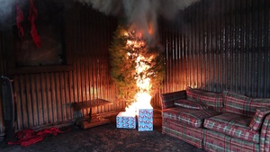Holiday Christmas Tree Fire Safety