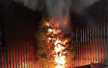 Holiday Christmas Tree Fire Safety