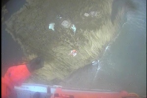 Coast Guard rescues 2 duck hunters stranded near Little Egg Inlet, NJ