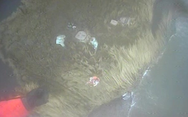 Coast Guard rescues 2 duck hunters stranded near Little Egg Inlet, NJ