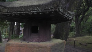 Outside the Gate - Exploring Sankeien Garden