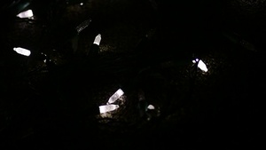 COVID-19 Light String