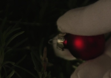 Happy Holidays from U.S. Marine Corps Forces Command