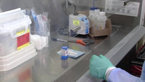 BPVAHCS Media B-Roll - Laboratory COVID-19 Testing Machines
