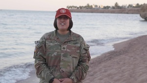 Task Force Sinai Holiday Wishes