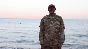 Task Force Sinai Holiday Wishes
