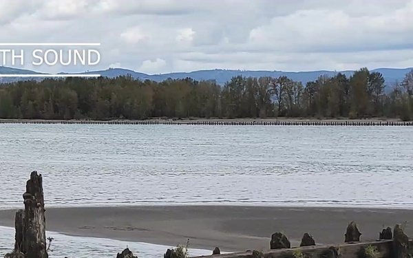 Dams et al Episode 17: King pile replacement **Video**