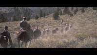 SOF Horsemanship