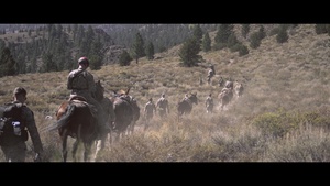 SOF Horsemanship