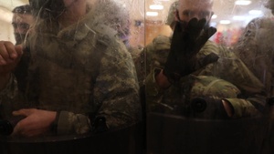 Minnesota Guardsmen provide support to 59th Presidential Inauguration