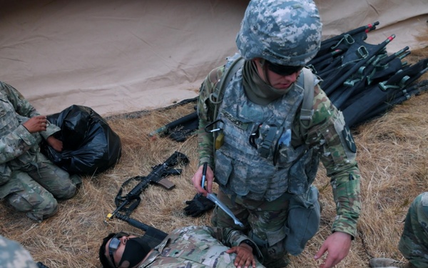 Diversity and Duty: The Soldiers of 'Charlie Med'