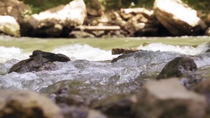 River Cooling System