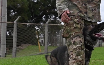 Paw-rtners for Life: Staff Sgt Daniel Tabita, military working dog handler