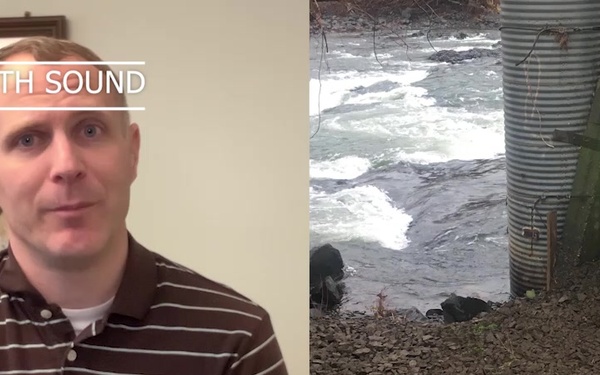 Dams et al Episode 20: Pendleton Levee