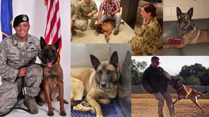 Spike is Retiring from Active Duty