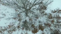 Cold Weather Environment