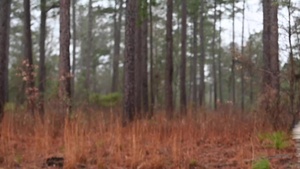 2021 Army Best Medic Competition Buddy Run Video
